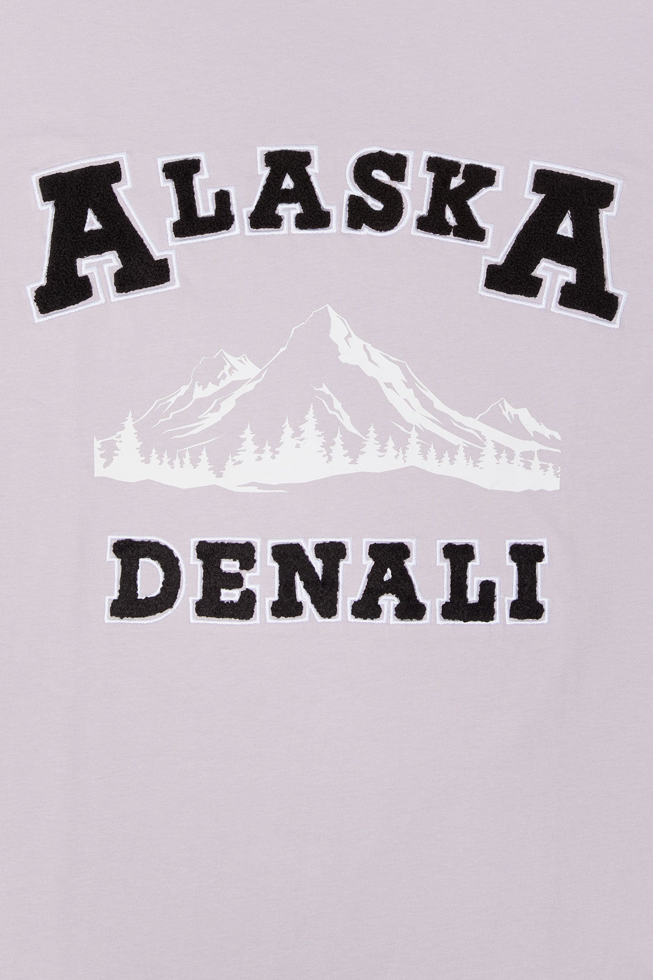 Alaska Embroidered T-Shirt