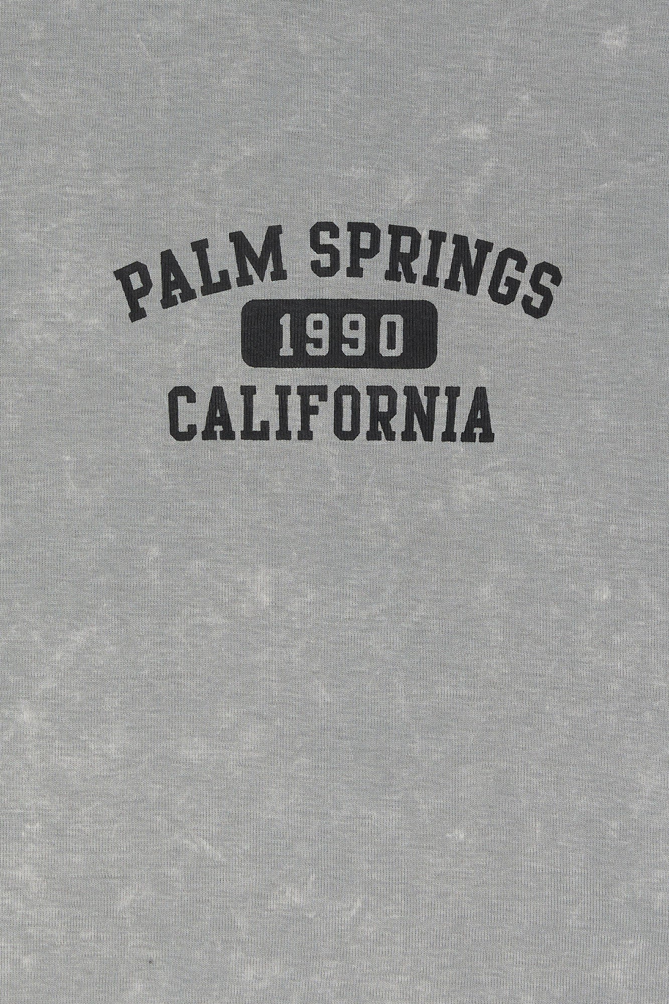 Palm Springs Graphic Washed Cropped T-Shirt