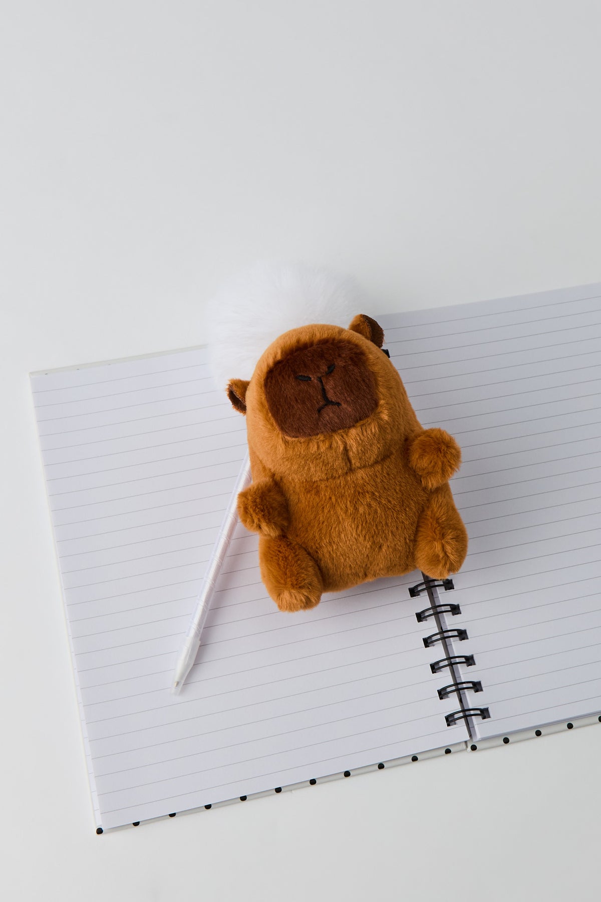 Vue alternative 2. Carnet de notes avec porte-clés