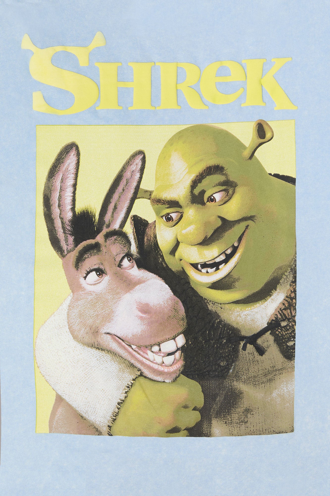 Shrek Graphic Boyfriend T-Shirt