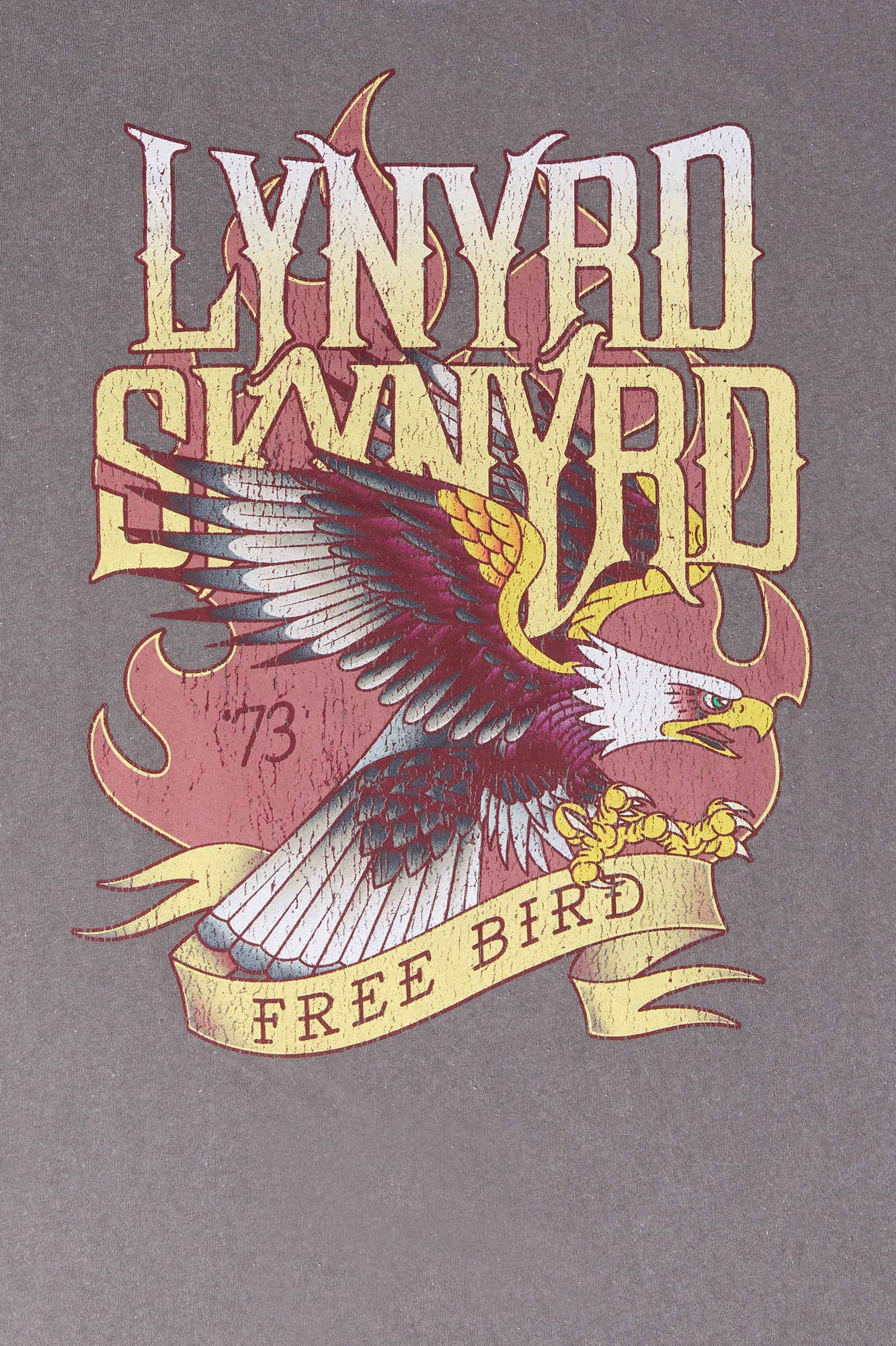 Lynyrd Skynyrd Graphic Boyfriend T-Shirt