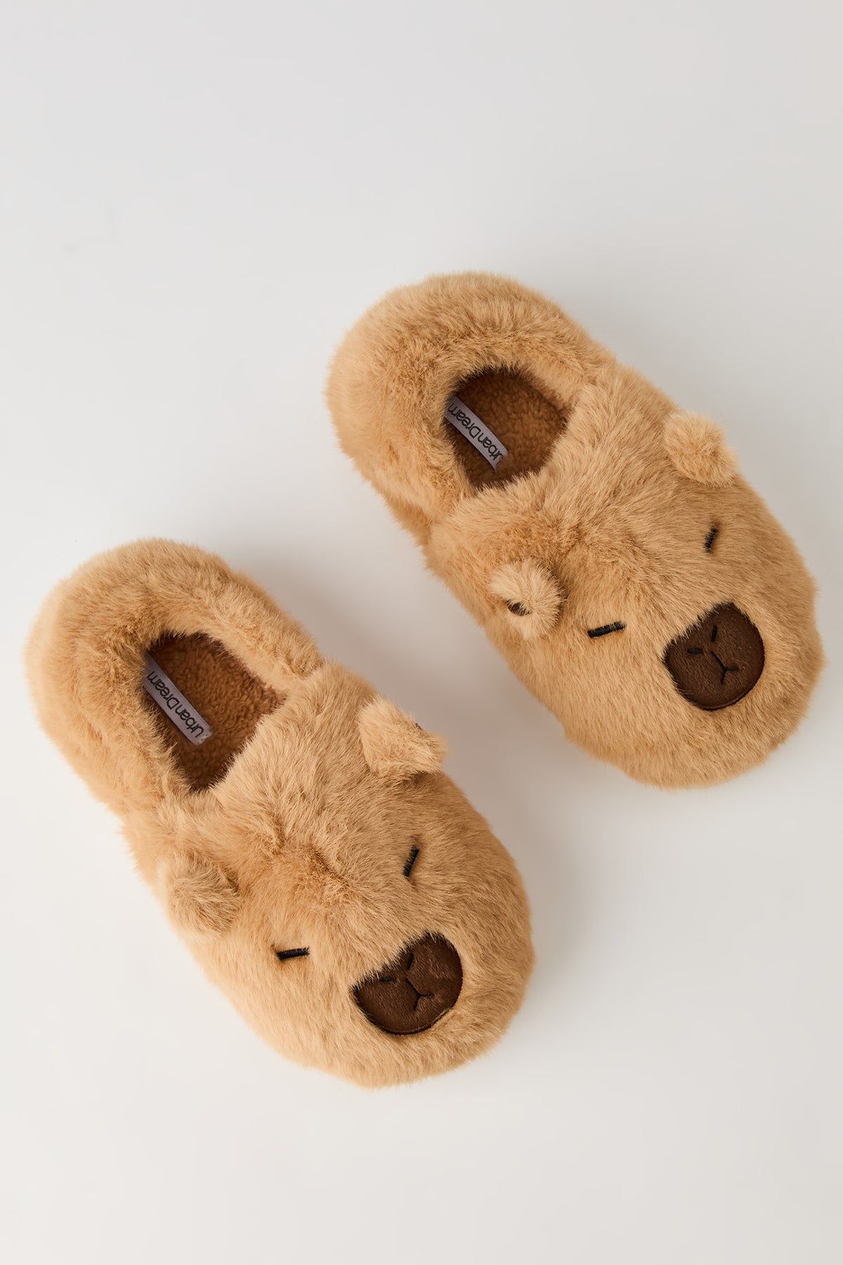 Vue alternative 3. Pantoufles Capybara 