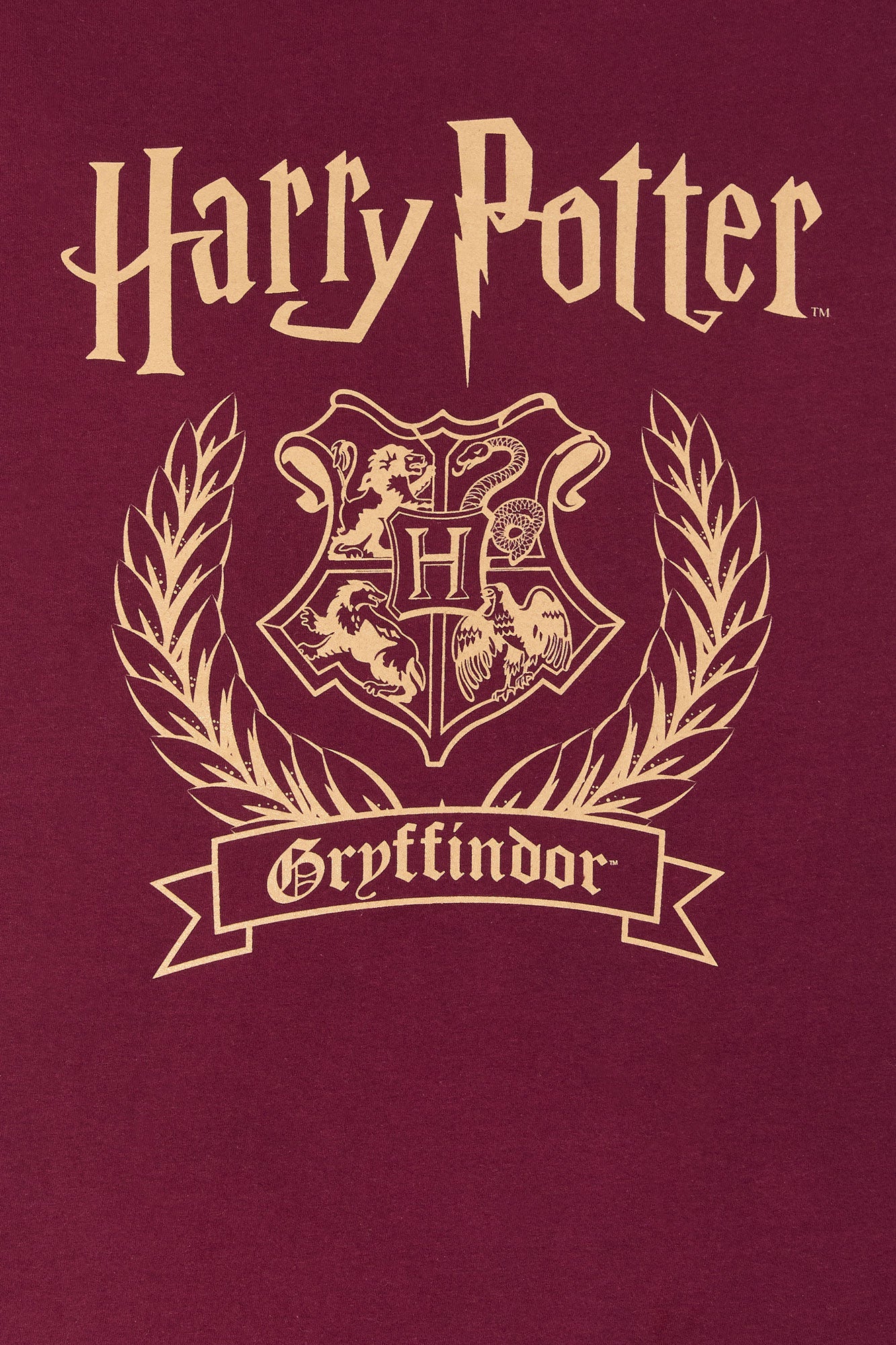 Harry Potter Gryffindor Graphic T-Shirt