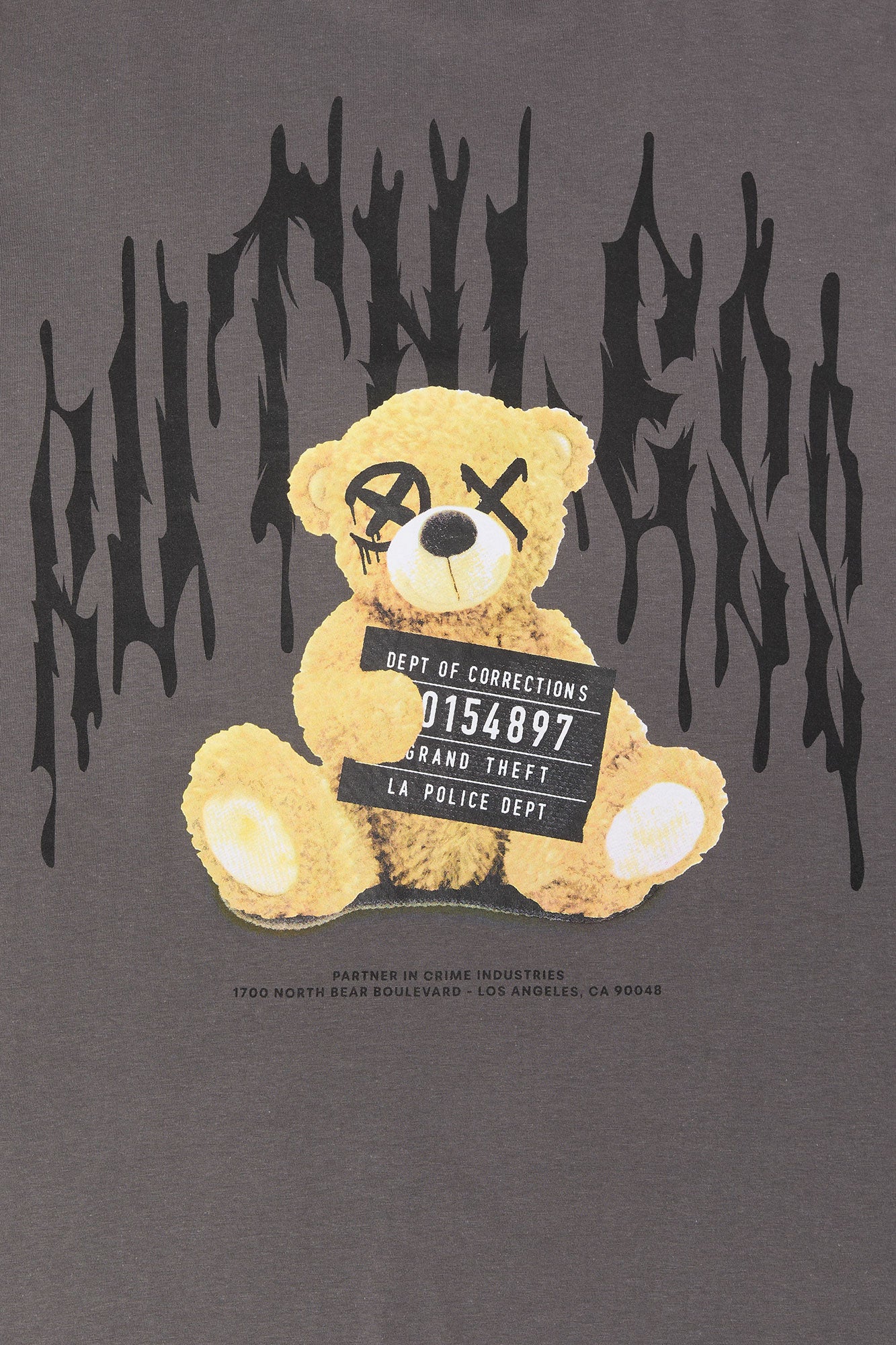 Teddy Graphic T-Shirt
