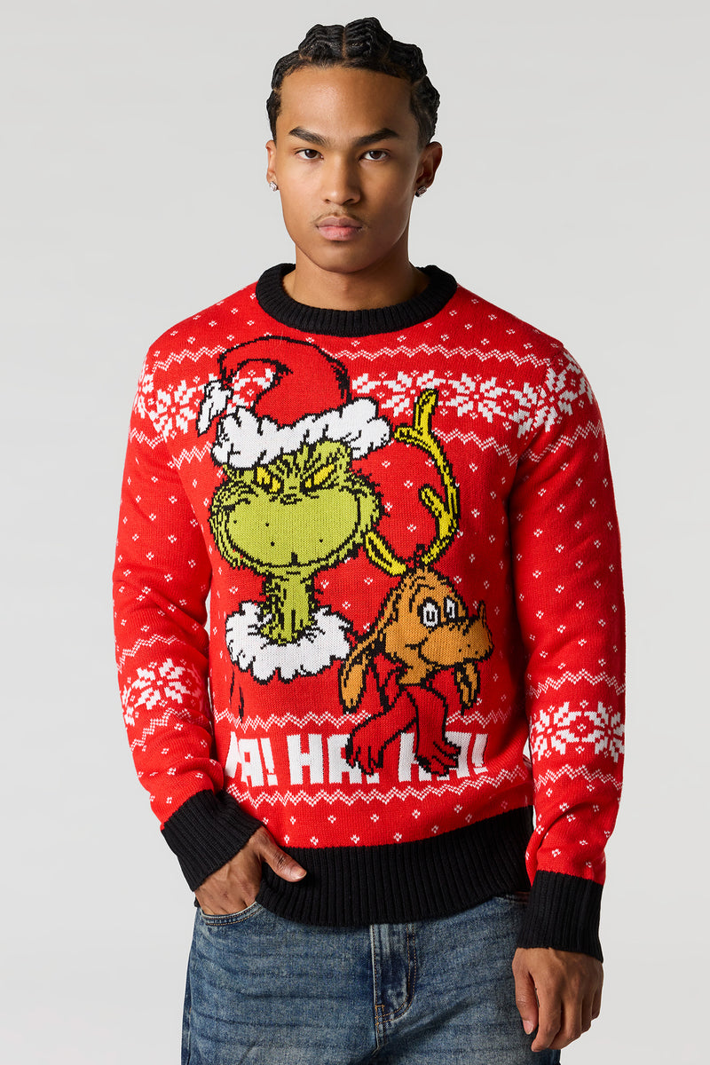 Chandail de Noël en tricot jacquard à imprimé Grinch & Max
