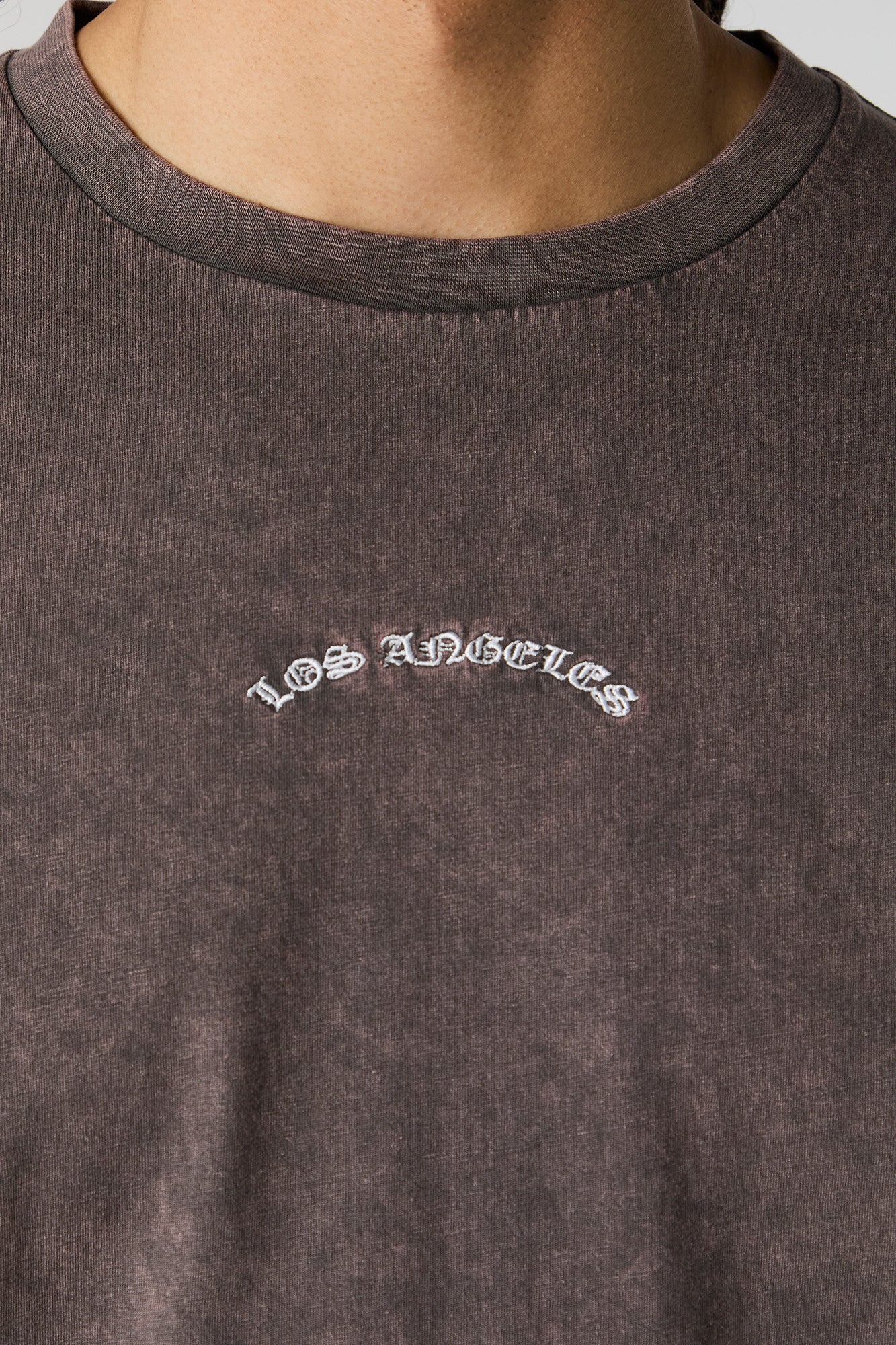 Los Angeles Embroidered Washed T-Shirt