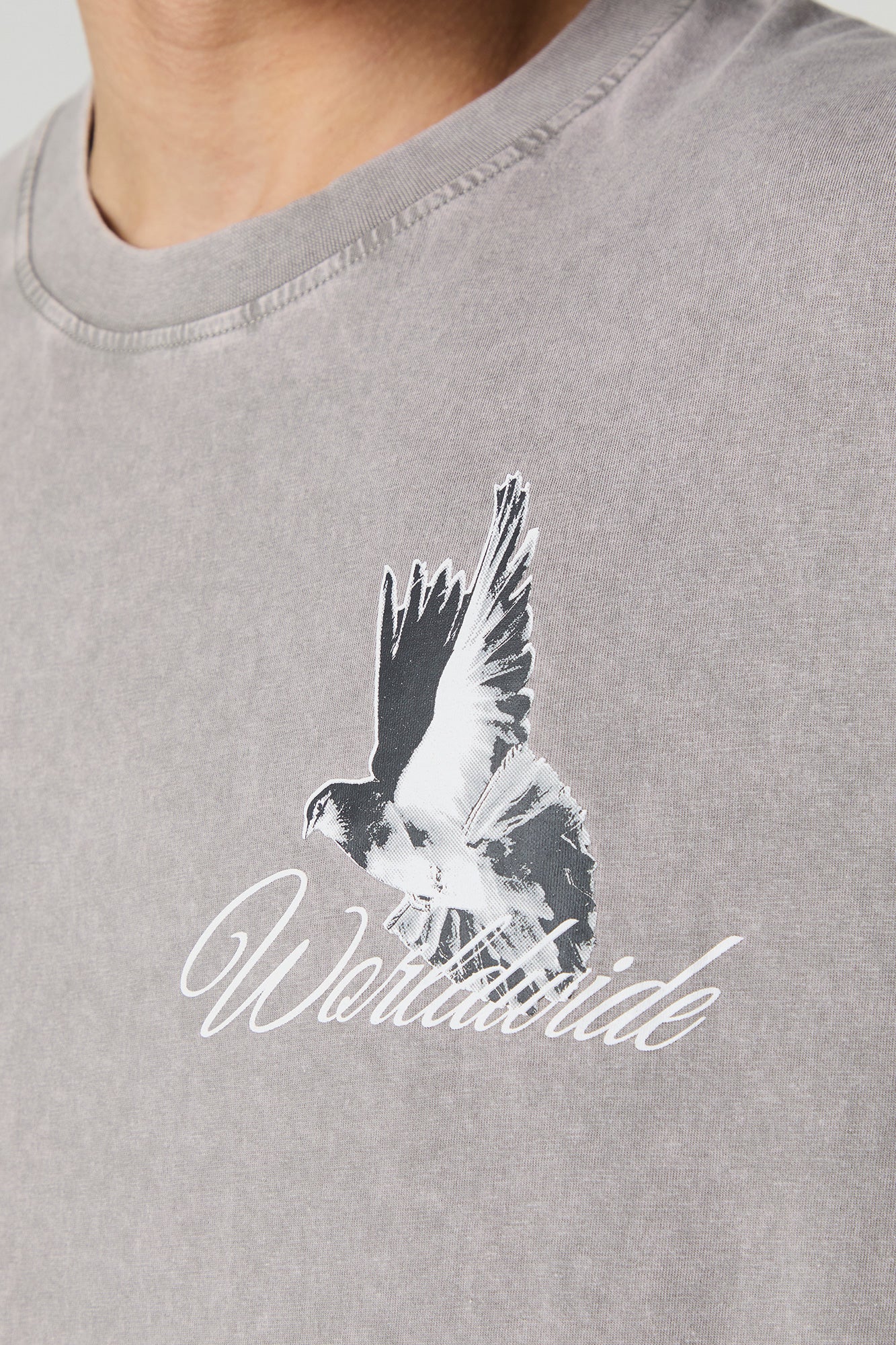 Worldwide Graphic Washed Relaxed T-Shirt – Urban Planet