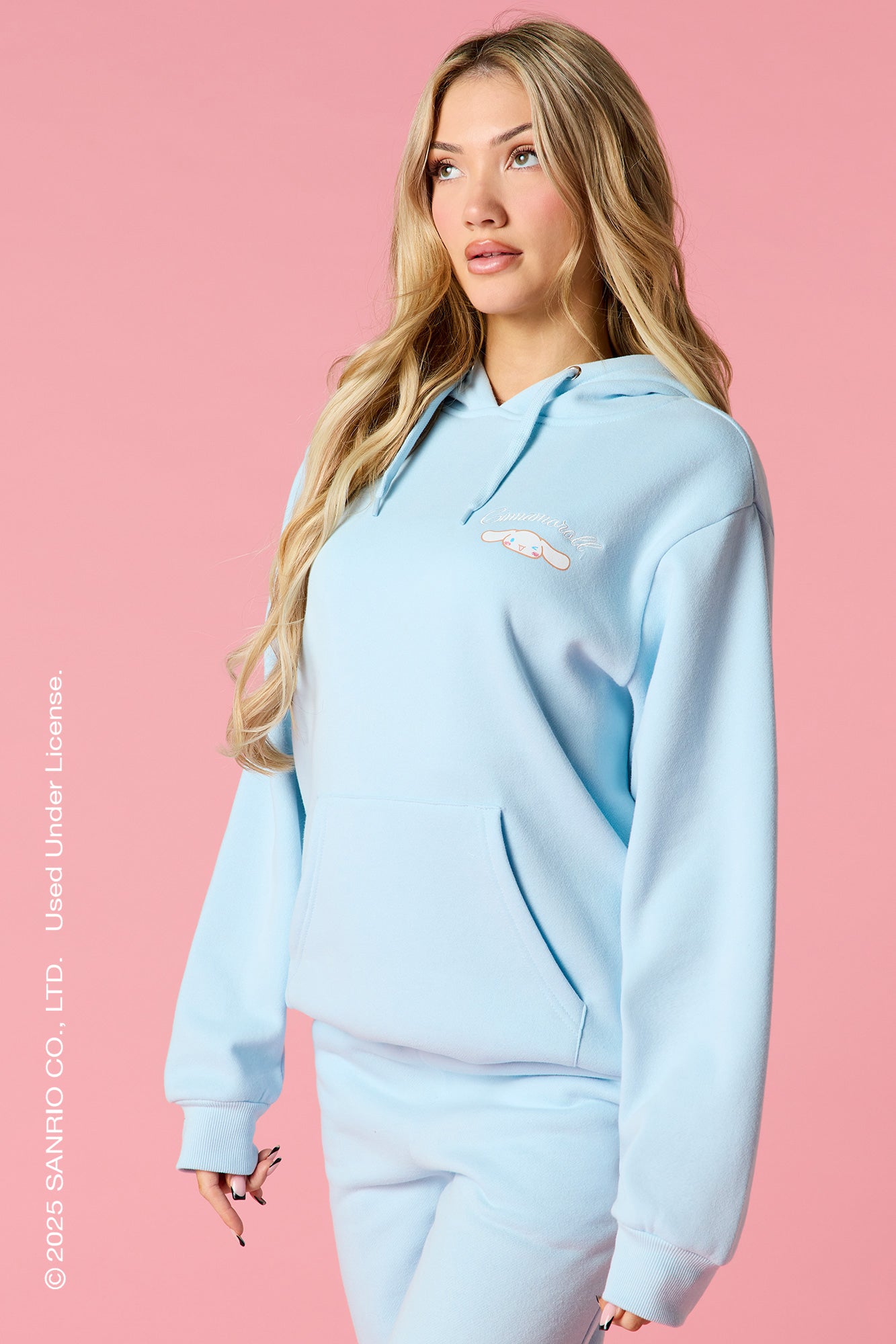 Cinnamoroll™ Embroidered Fleece 3D Hoodie – Urban Planet
