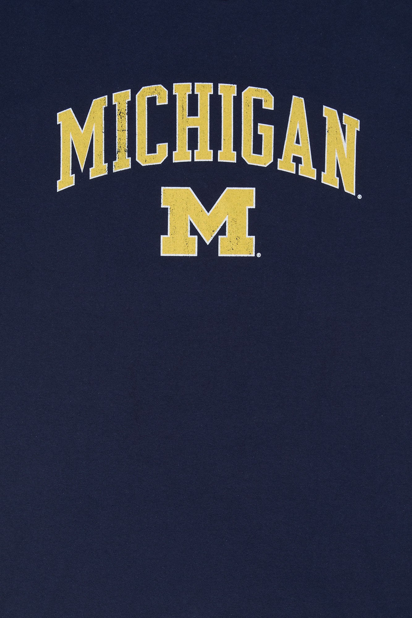 University of Michigan Graphic T-Shirt